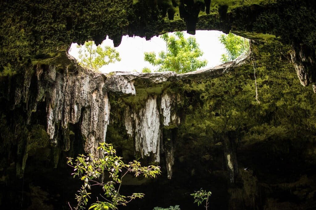 cenote, bodega