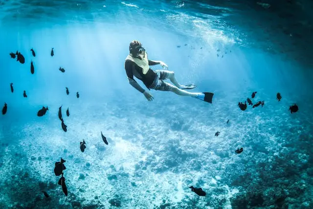 snorkeling tulum